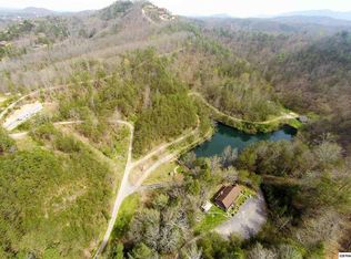 4201 Dellinger Hollow Rd, Pigeon Forge, TN 37863