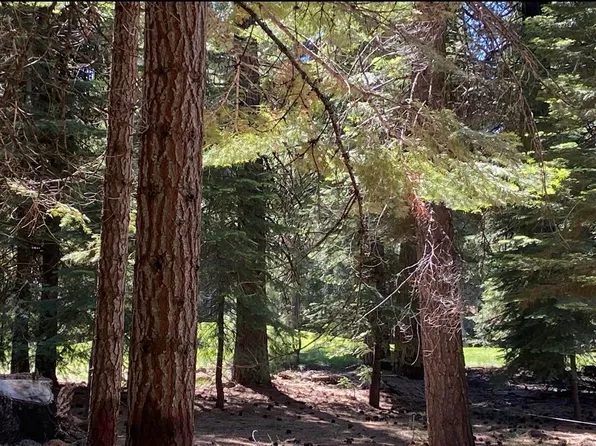 15 Fox Ridge Dr, Westwood, CA 96137