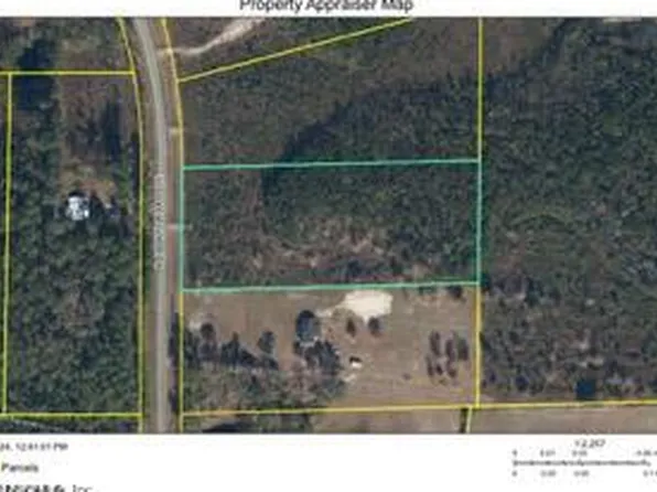 0 LEON DOPSON Road, Sanderson, FL 32087
