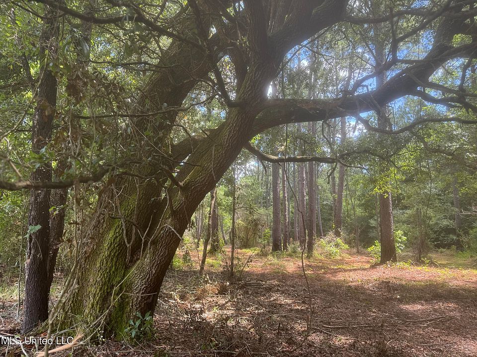 2nd image of Lilly Coleman Rd