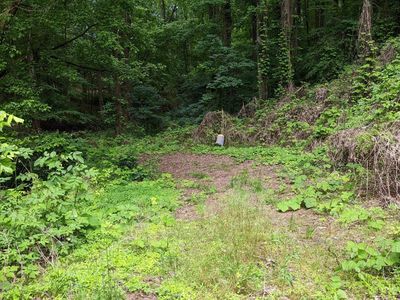 Old Highway 411, Newport, TN, 37821
