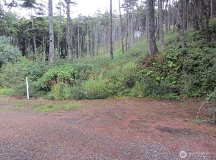 29 Golden Lane, Pacific Beach, WA 98571