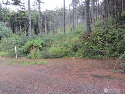 29 Golden Lane, Pacific Beach, WA, 98571