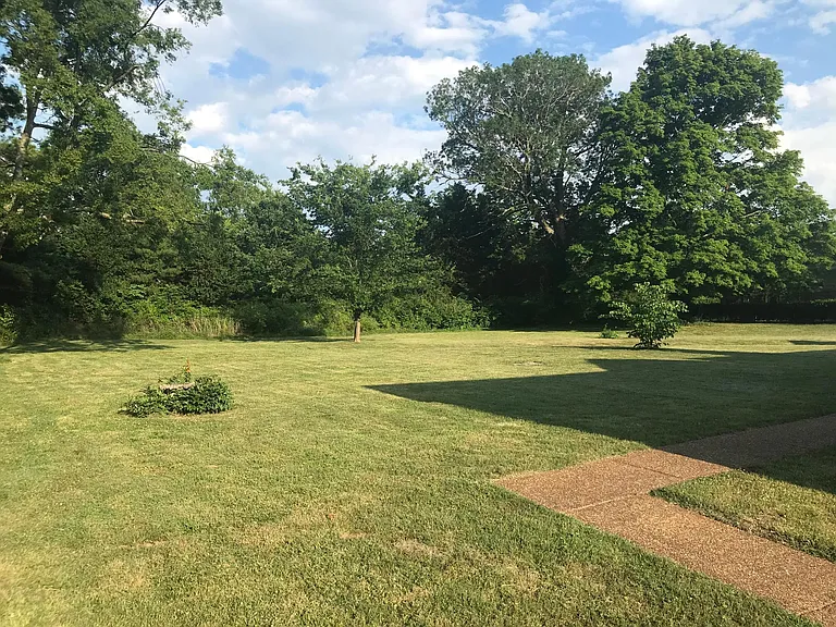 Large Backyard