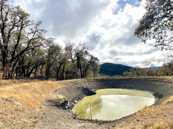 40/ACRE S Burr Valley Rd, Bridgeville, CA 95526