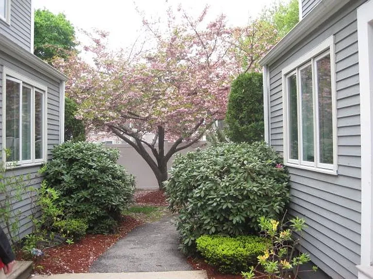 5 Etna St #3 — Photo 12