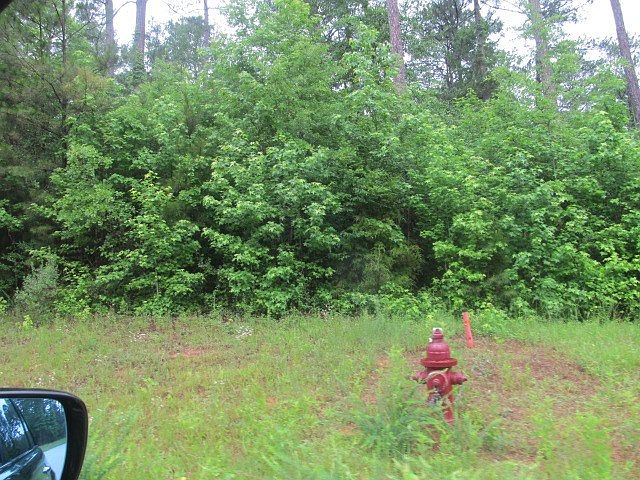 2nd image of 5 Pintail Dr