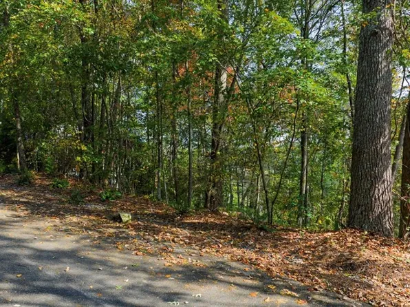 L81 Lillie Dr, Ellijay, GA 30540