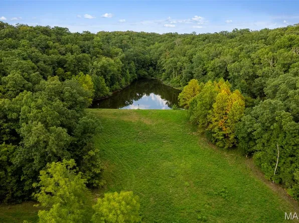 1 Wayne 526, Greenville, MO 63944