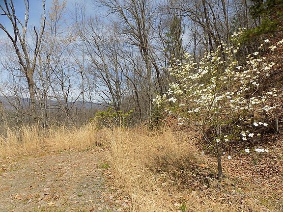 2nd image of 5b Hawkeye Trail