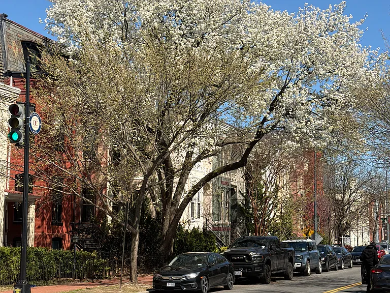 512 Constitution Ave NE #B — Photo 31