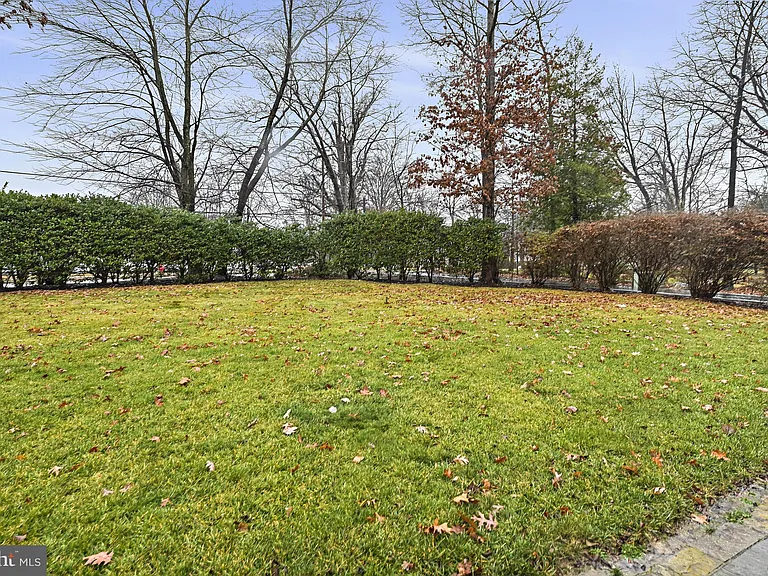 1008 Park St SE — Photo 54