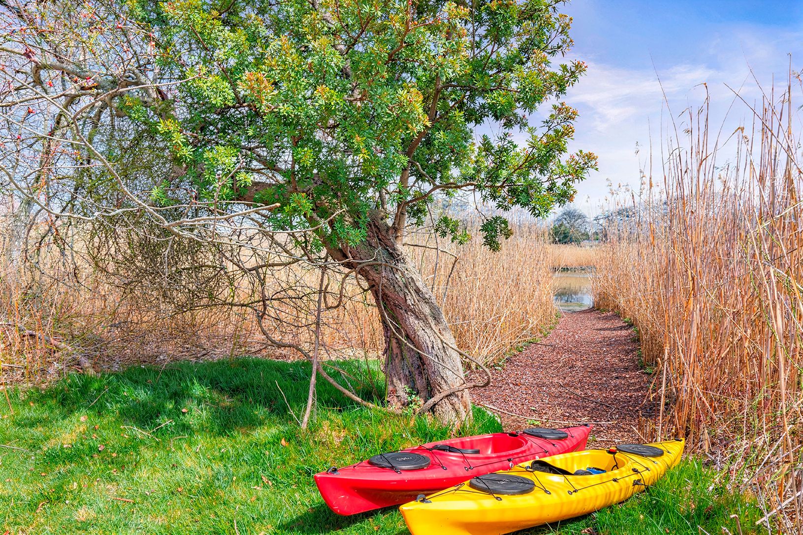  Enjoy summer on the water!