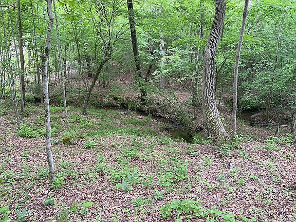 4th image of Kiser Rd Lot Wp009
