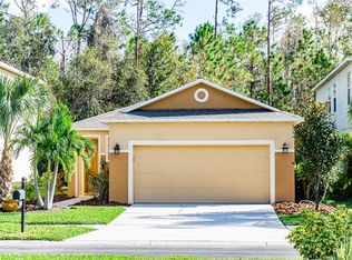 27100 Stillbrook Dr, Wesley Chapel, FL 33544