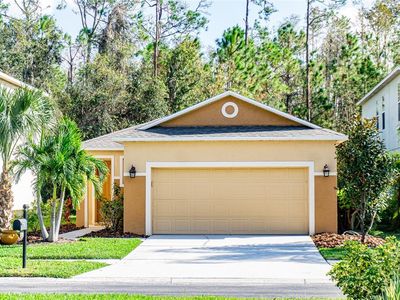 27100 Stillbrook Dr, Zephyrhills, FL, 33544