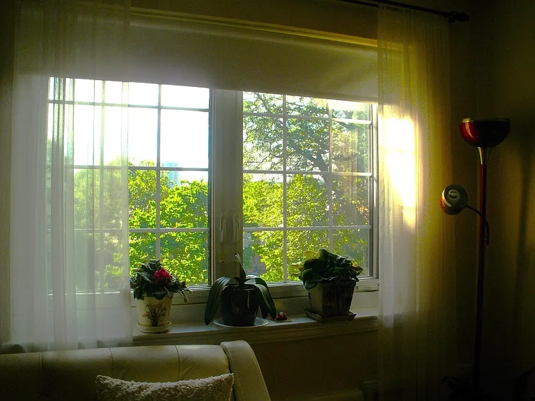 28 Saint Paul St #6 — Photo 9