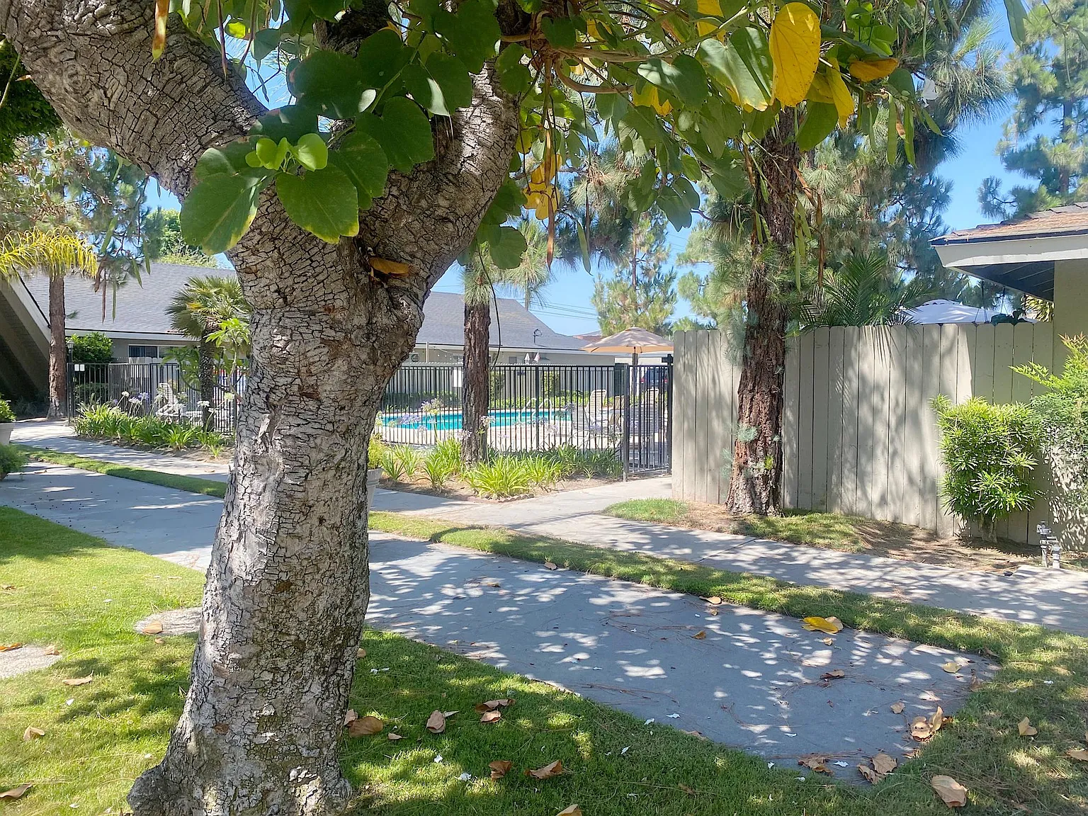 Orangeview Villas — Photo 3