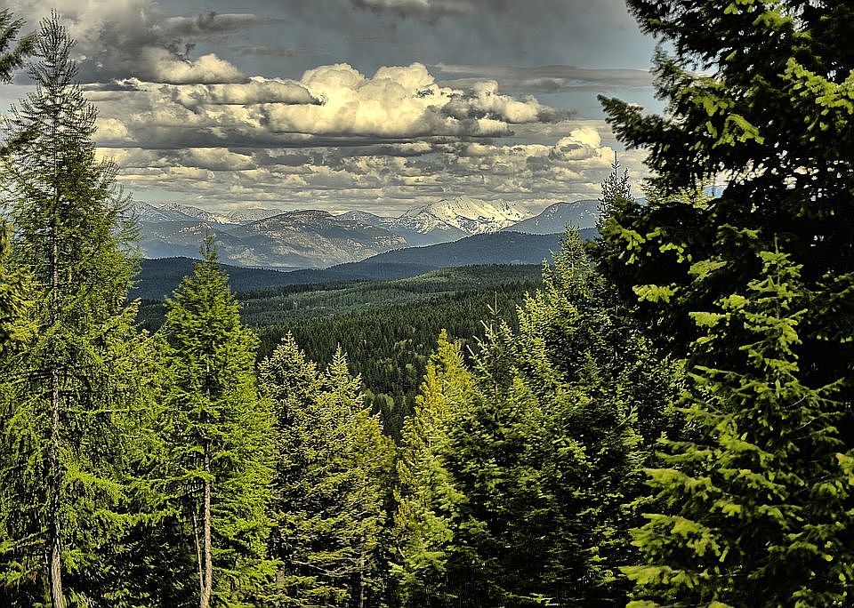 A 40 mile view out the back 