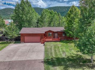 104 Glovers Ln, Woodland Park, CO 80863