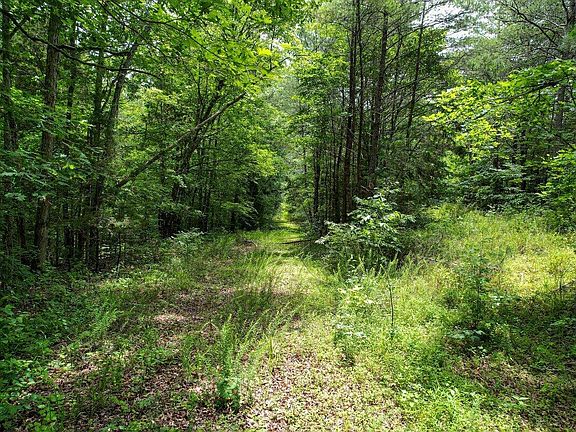 5th image of 92 County Rd