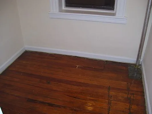 Rented by Mark David | media 22