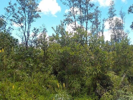 1st image of Ilima St Lot 24