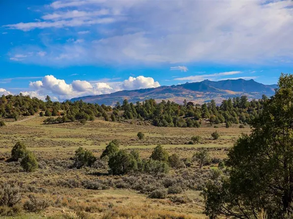 X Tall Pines Place, Pagosa Springs, CO 81147