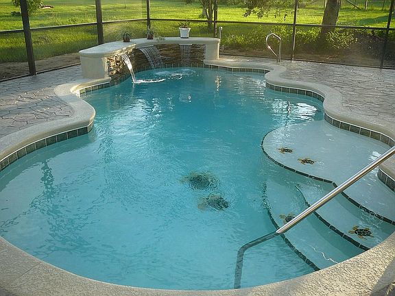 water feature and turtles