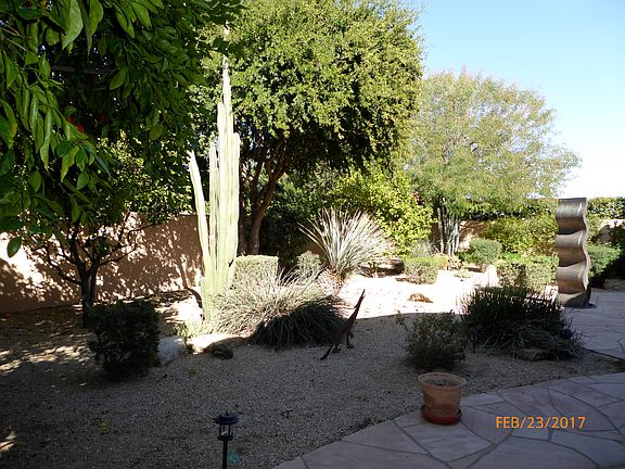 4th image of 7476 E Beryl Ave