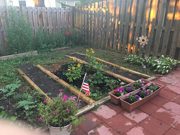 Backyard - garden