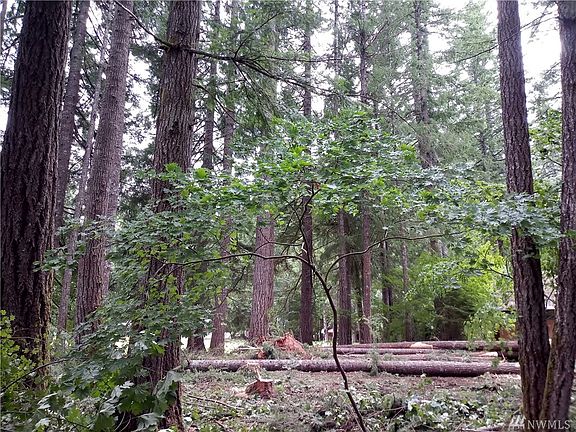 2nd image of 0 Mary Ln