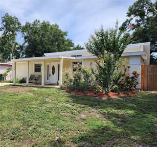 1155 7th St N, Safety Harbor, FL, 34695