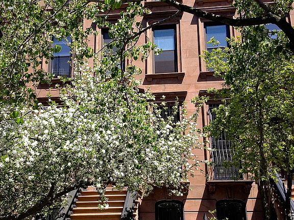 2nd image of 127 Prospect Pl APT 2
