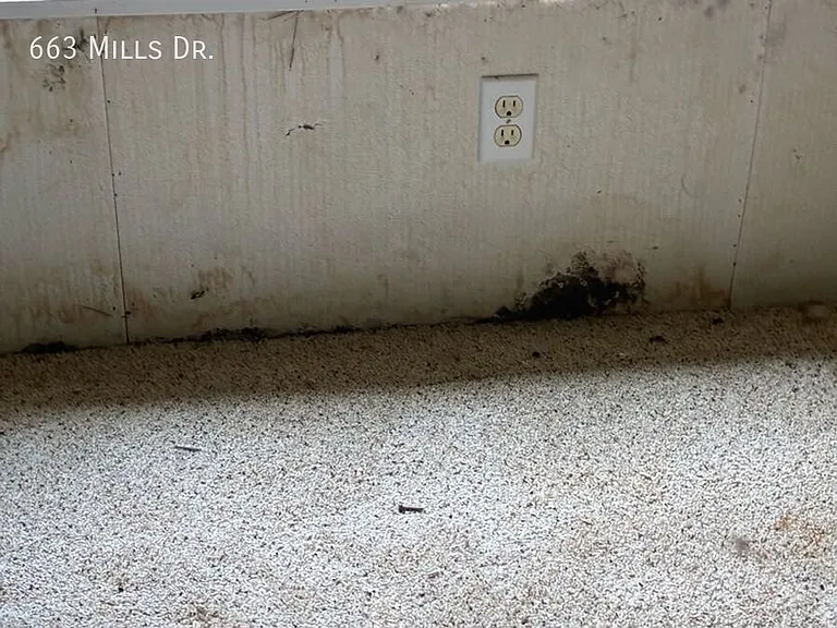 663 E Mills Dr — Photo 12