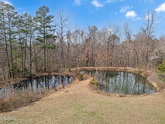 5th image of Collier Loop