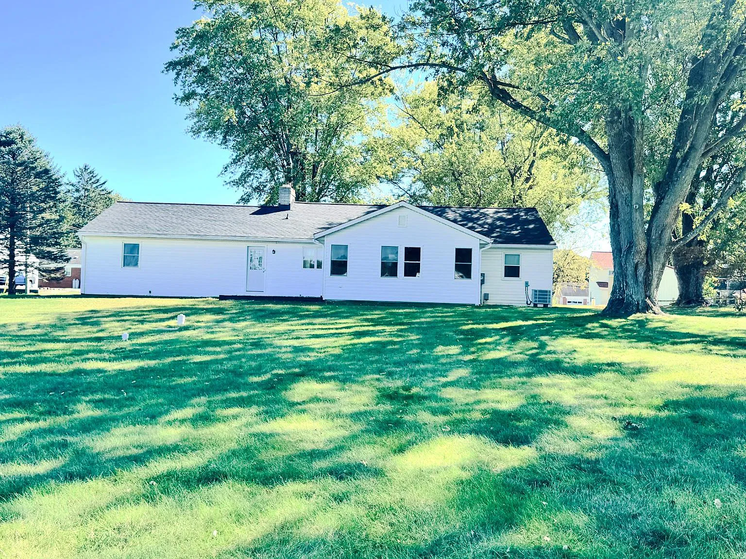 3 bed, 2.0 bath, 1240 sqft, $2,200 — Photo 4