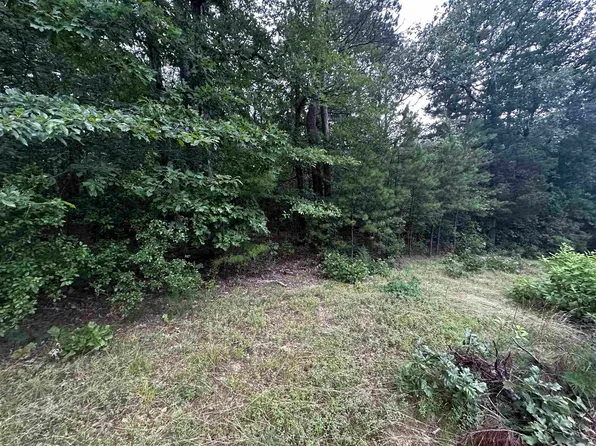 LOT 46 Cobalt Bay Dr Lot 46, Shirley, AR 72153