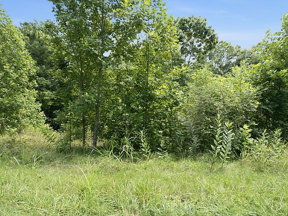 4th image of 0 Trailwood Ct Lot 29
