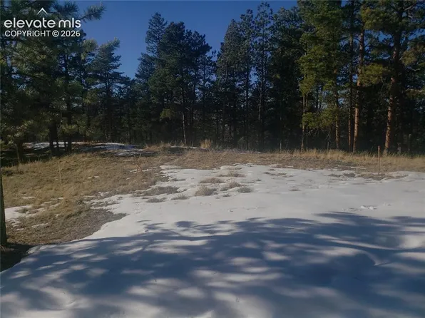 206 Eagles Perch Pl, Woodland Park, CO 80863