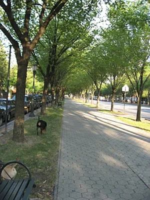 Rented by Realty on the Greene | media 17