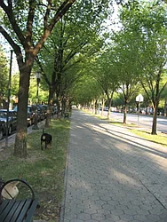 Rented by Realty on the Greene