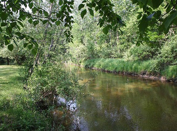 Cedar River