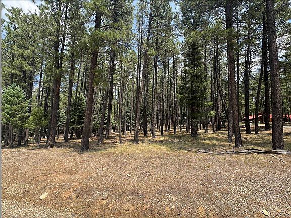 4th image of Lot 880 Calle de las Palomas