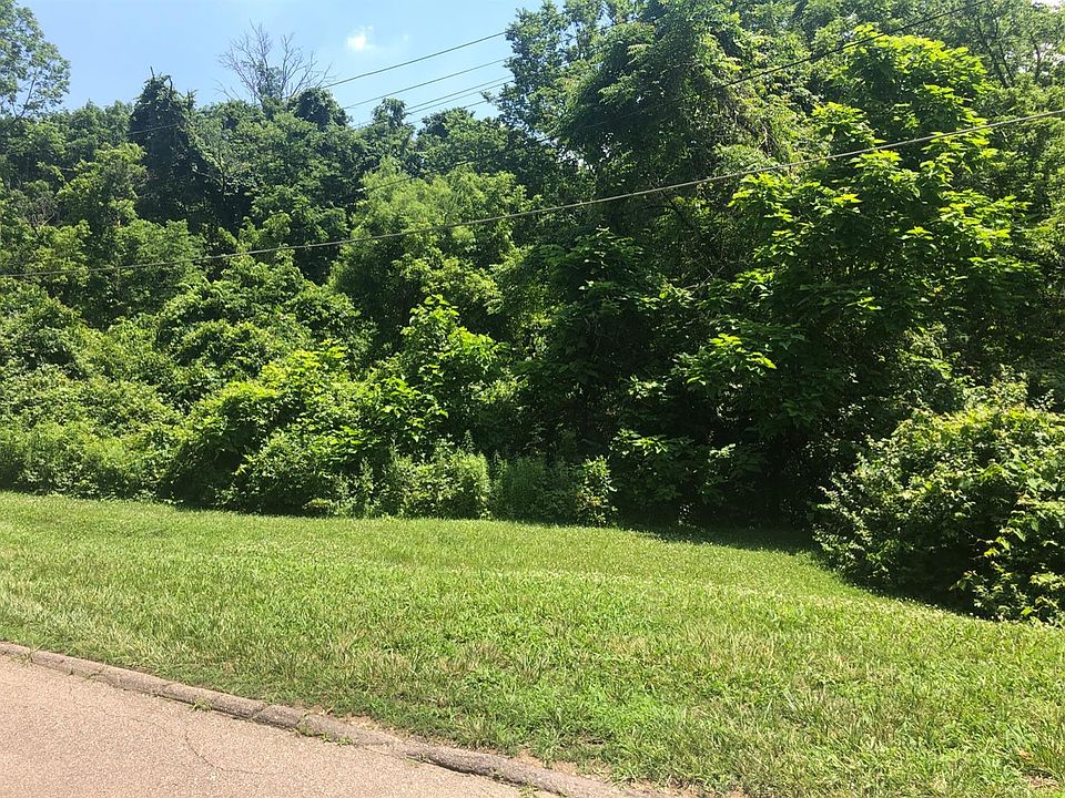 2nd image of 231 Hilltop Ln