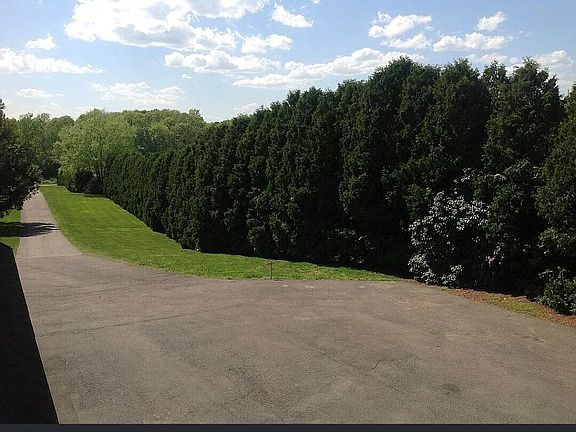 3rd image of 245 Warner Road