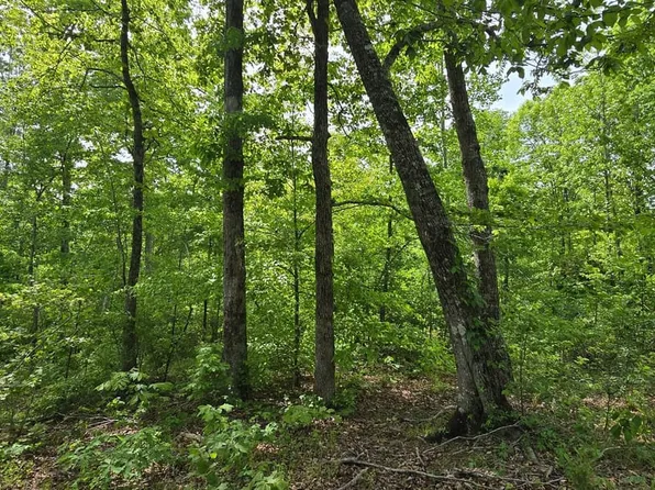 5575 Silerton Rd, Henderson, TN 38340