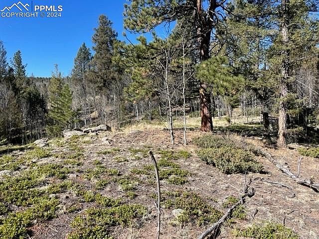 1st image of 266 Alpine Dr