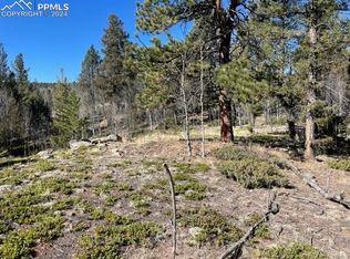 266 Alpine Dr, Florissant, CO 80816