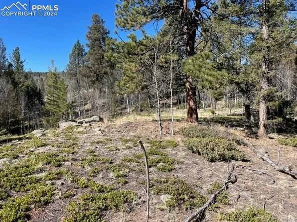 266 Alpine Dr, Florissant, CO 80816